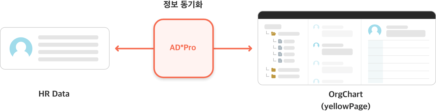 DB 기반의 조직도 동기화